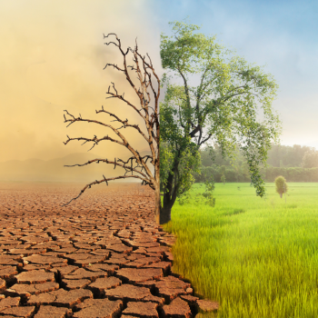 La Importancia de la Energía Renovable en la Lucha Contra el Cambio Climático