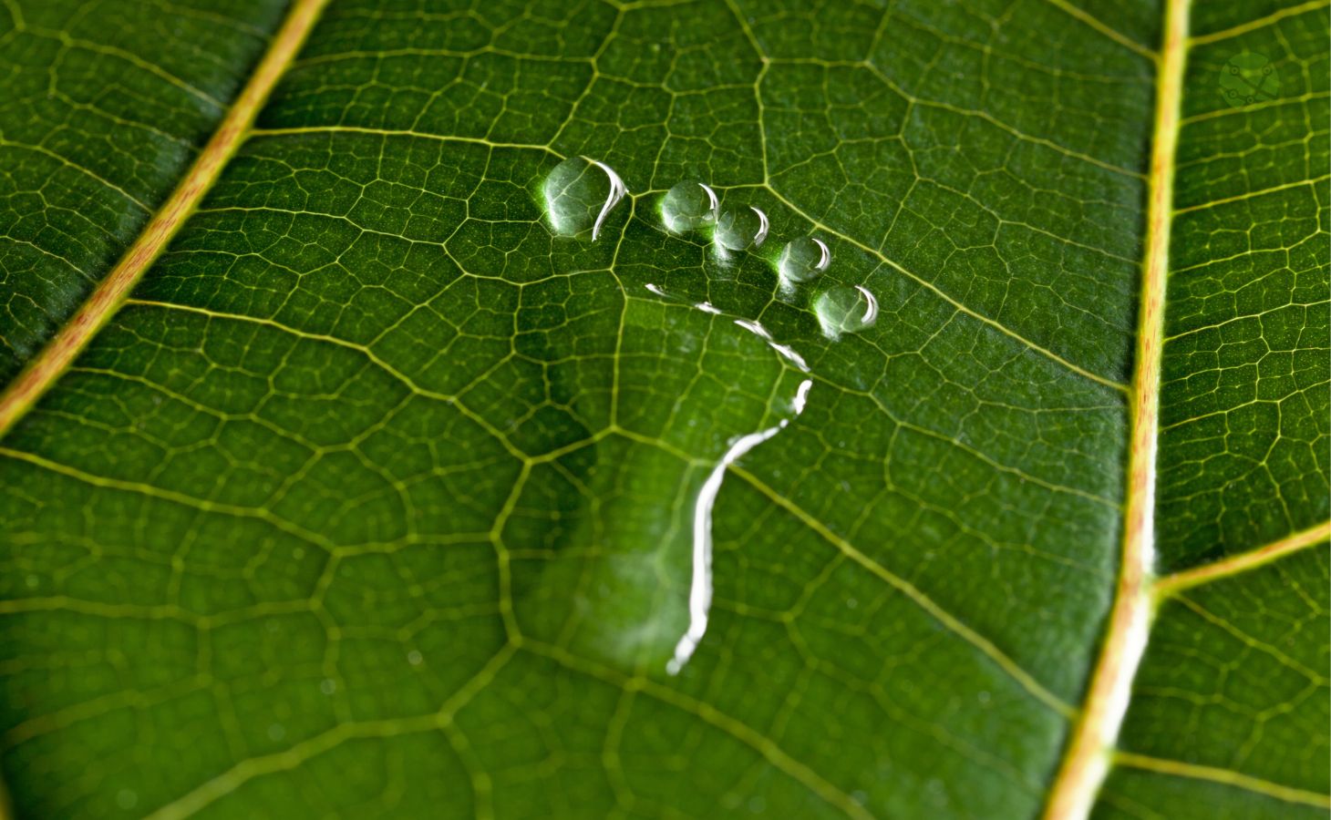 Comprometidos con la 
<small>Gestión del Carbono</small> Image